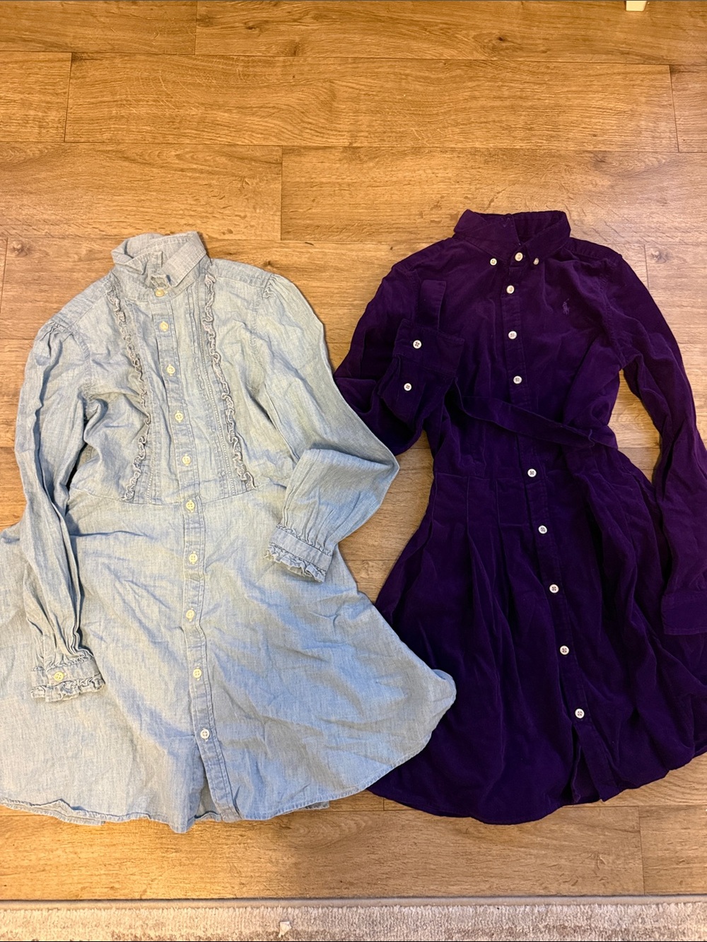 Polo by Ralph Lauren Light Blue Chambray Dress & Purple Velvet Dress